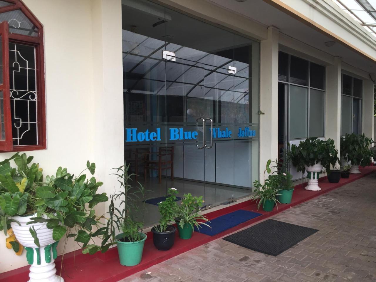 Hotel Blue Whale Jaffna Ngoại thất bức ảnh
